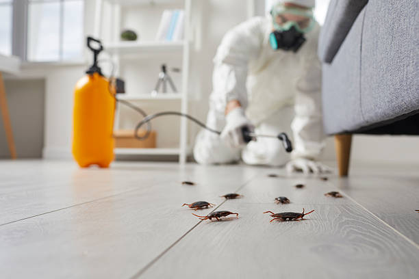 Post-Treatment Bed Bug Interceptor Monitoring in Sartell